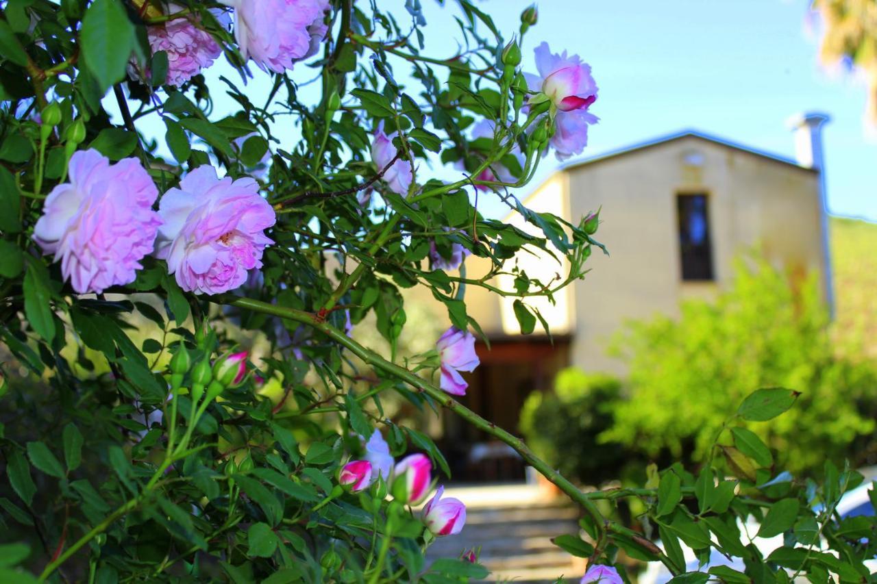 Agriturismo Tarantola Alcamo Exterior photo